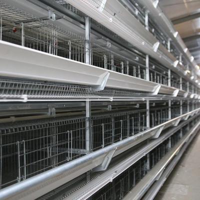 China Full Automatic Steel Chicken Battery Chicken Cage Chicken House Design H Freestanding Type Cages for sale