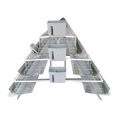 China Farms Raising Hens Cage Wholesale Type 3 Wire Mesh Ventilate Chicken Layer 5 Tier Door Cage for sale