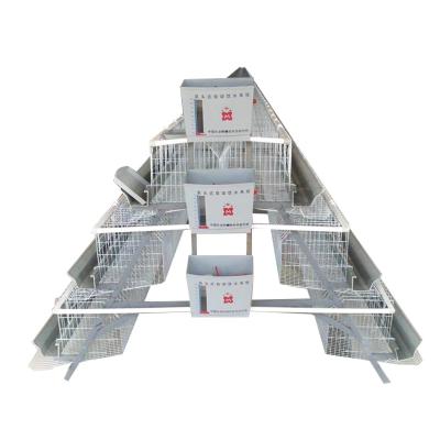 China Chicken Farm Battery Layer Cage Battery Cage Poultry Farm Animal Chicken Farms In Nigeria for sale