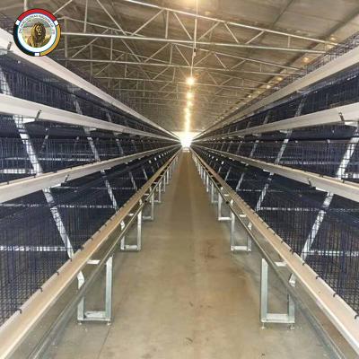 China Automatic Battery Layer Chicken Farm Battery A Type Chicken Cages Automatic Egg Poultry Farming Equipment for sale