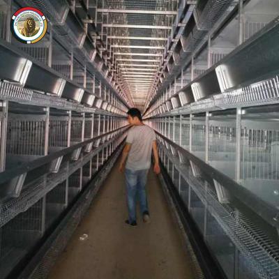 China Full Automatic Chicken Farms Factory Sale Whole Layer Egg Cage Battery H Type Cages for sale