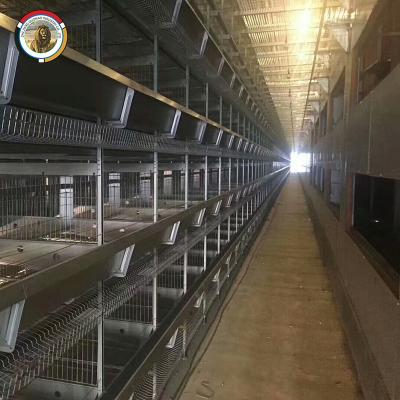 China Farms Nigeria Market Chicken Cages H Type Chicken Layer Cage Chicken Layer Poultry Farming Cages for sale