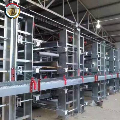 China Farms South Africa Market Chicken Cages Type H Layer Cage Chicken Farm Chicken Cages For Africa Market for sale