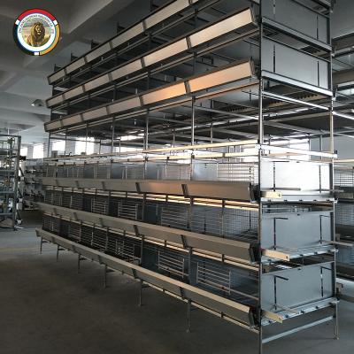 China Poultry Field Be 3-8 Tiers H Type Popular Battery Chicken Egg Layer Battery Cage For Tanzania Poultry Farm for sale