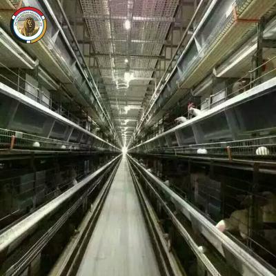 China Poultry Field Free Design H Type Automatic Egg Poultry Farms Battery Layer Chicken Cages In Africa for sale