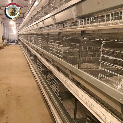 China Poultry Field Factory Fully Automatic Laying Hen Egg Layer Battery H Type Chicken Cages System for sale