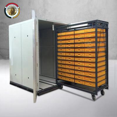 China Farms Automatic Egg Turning Large Professional Egg Hatching Incubator 19200 Capacity Incubator Machine for sale