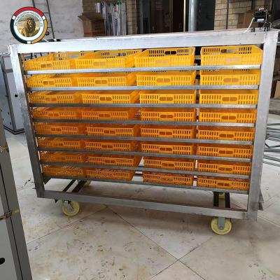 China Cultivate Large Capacity Automatic Poultry Incubator 10000/30000/50000 Eggs Chicken Egg Incubator for sale