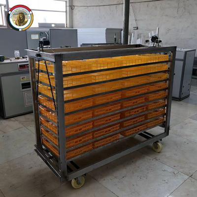 China 10000/30000/50000 Large Capacity Automatic Poultry Incubator Material Temperature Control FRP Chicken Eggs Incubator for sale