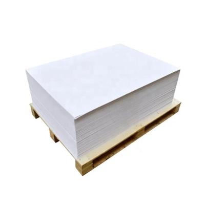 China Food Grade Paperboard PE Coated Paper Cup Waterproof Paper Cup Sheet Raw Material for sale