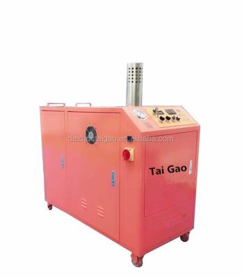 China For All Kinds of Dirty Cleaning Tai Gao 30 Seconds Preheating Car Steam Cleaning Machine/Car Washing Machine Car Detailing Remover for sale