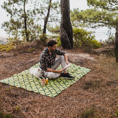 China OEM Custom Waterproof Anti Sand Waterproof Picnic Print Polyester Beach Outdoor Camping Hot Selling Lightweight Blanket Easy To Wear for sale