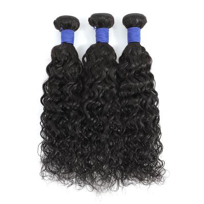 China Factory Direct Sales Water Wave Extensions Long Curly Hair Women Natural Water Wave Color Hair Extensions for sale