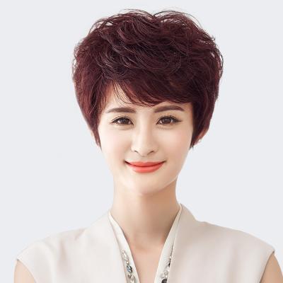 China Factory wholesale gray shading wigs short curly hair increase hair volume short curly hair hair wigs for sale