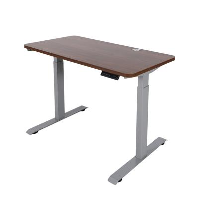 China 80*50mm Adjustable Tube Strong Heavy Duty Column 120kgs (Height) Sturdy Standing Desk In Frame Dual Motor for sale