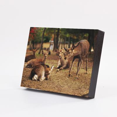 China Eco-Friendly Style 6*8 8*10 11*14 inch Wholesale Household Promotion Sexy MDF 2022 Photo Frames For Wall for sale