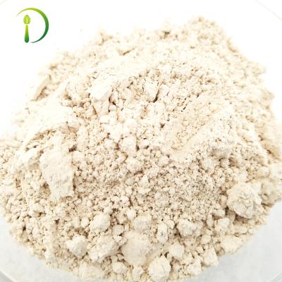 China Other Powder Raw Rice Protein Bulk 100% Pure for sale