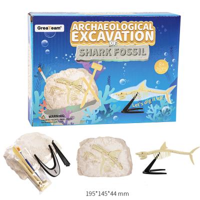 China Original Factory Direct Supply Excavation Shark Archaeological Fossil 4432005 for sale