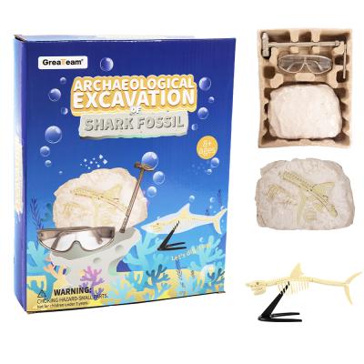 China Deluxe Edition Fossil Dig Play 4432006 Excavation Archaeological Shark for sale