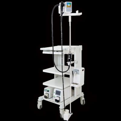 China Automatic Metal Flexible Endoscope Leak Testing and Bedside Pretreatment Machine for sale