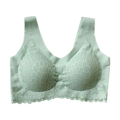 China Water bra new women push up high elastic 5D radio contours soft seamless bra lace bra for sale