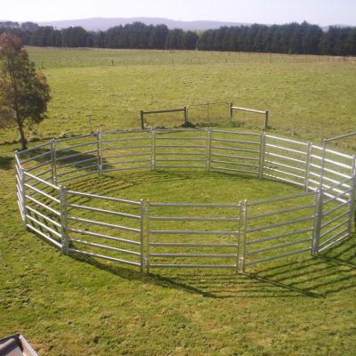 China Australia standard galvanized livestock cattle yard cattle panel corral panel for sale