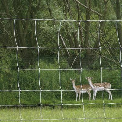 China 4ft 5ft 6ft 8ft height fence goat farming grassland cheap field fence for sale