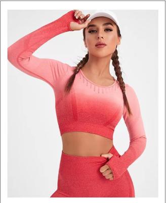 China Factory Wholesale Color Women's Breathable Gradient Sports Suit 2 Pieces Set Women's Fitness Suit Seamless Long Sleeve Yoga Suit for sale