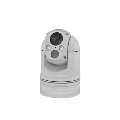 China 384 640 Wide Angle Double Spectrum Pan Tilt Camera For Searching And Monitoring for sale