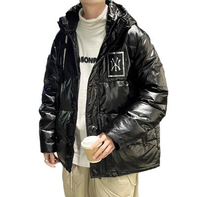 China Antibacterial Outdoor Duck Down Coat Quilted Hooded Bubble Padded Winter Mens Jackets In Stock for sale