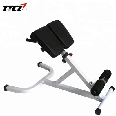 China American style TTCZ Roman Chair gym fitness equipment/back hyperextension and abdominal exercise bench for sale