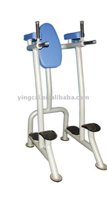 China GNS-8224 Steel Vertical Knee Raise/Dip Pulse Fitness Gym Equipment for sale