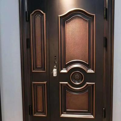 China Modern Good Quality Steel Front Doorn With Special Paint Raised Zinc Alloy Residential Door For Building for sale