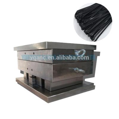 China P20/718/738/NAK80/S136 injection making plastic mold for cable tie mold for sale