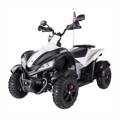 China Ride on 2022 wholesale new product 12V 24V OEM kids electric mini atv for kids for sale