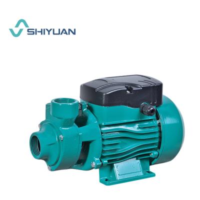 China Long Life SHIYUAN SOLAR DC PUMP NO NEED CONTROLLER 370W QUARTERBACK-70 24v DC for sale