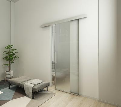 China Modern Metal Framed Glass Sliding Doors With Barn Door Hardware Kit for sale