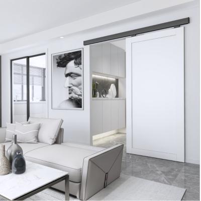 China Modern Sliding Barn Door (Other) Track Bypass Adjustable Aluminum Flat Hardware for sale