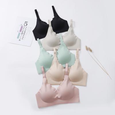 China 2021 New Arrivals Ladies Seamless Padded Bra One Piece Solid Color and Removable Pad for Women's Lingerie Underwear for sale