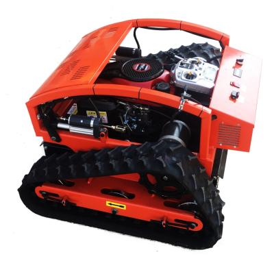 China 2 In1 Remote Control 4-Stroke Slope Mower And Snow Plow for sale