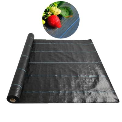 China Weed Prevention Growing Black Plastic Mulch Film Weed Control Ground Cover for sale