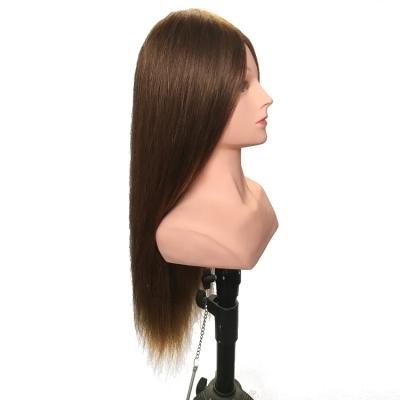 China Cosmetology Mannequin Heads Wholesale 100% Human Hair Training Head With Shoulder Real Hair Mannequin Head Doll Head With Hair for sale