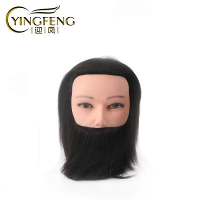 China Cosmetology Mannequin Heads 8