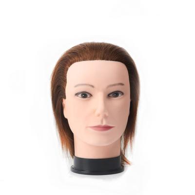 China Cosmetology Mannequin Heads Good Quality Wig Head Mannequin Display Dummy Realistic Training Head With Dolls Male Mannequin Heads Hair for sale