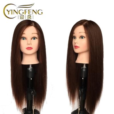 China Cosmetology Mannequin Heads Top Selling Mannequin Head Hairdresser Brown 20 Inch Practice Mannequin Head Cosmetology Dummy Doll Head for sale