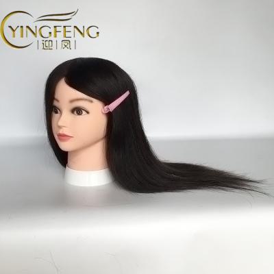 China Regular Wave Cosmetology 100% Real Human Hair Salon Practice Hairdresser Training Head Mannequin Dummy Doll Mannequin Head for sale