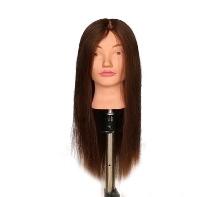 China Cosmetology Mannequin Heads Hot Sell Mannequin Head 18