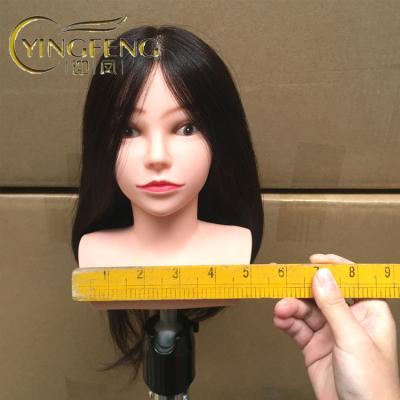 China Cosmetology Mannequin Heads New Arrival Cosmetology Mannequins Human Hair African American Manaquin Head With Hair Toys Training Head Human Hair for sale