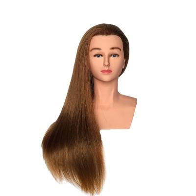 China Cosmetology Mannequin Heads Cosmetology Mannequins Human Hair Training Head Mannequin Of Natural Hair Mannequin Training Head for sale