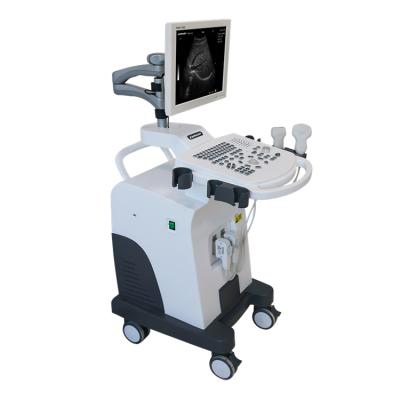 China RA-350 Medical Trolley B/W 15inch LED Ultrasound Scanner for sale